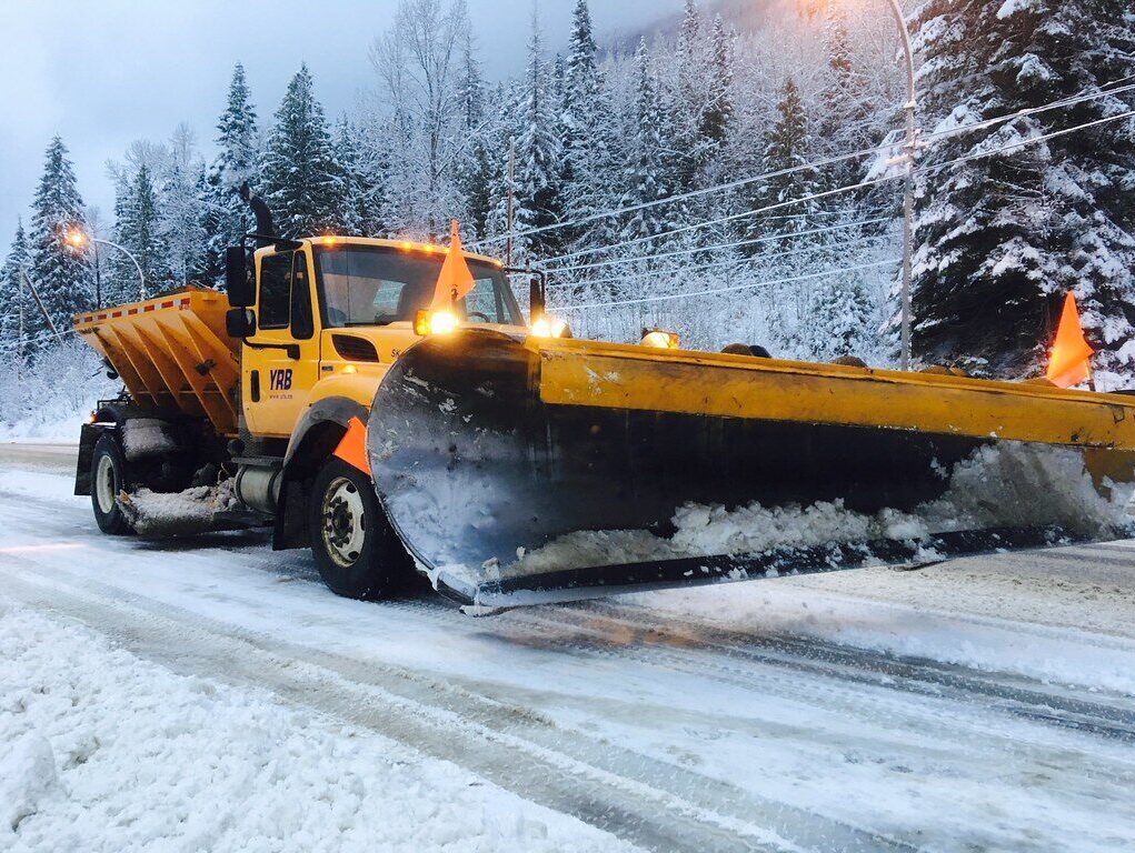 Creative blend of technology and nature with smartphone framing a bustling road through forest.